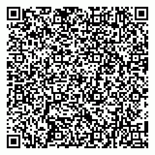 vCard 79100013377