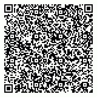 vCard 79100013383