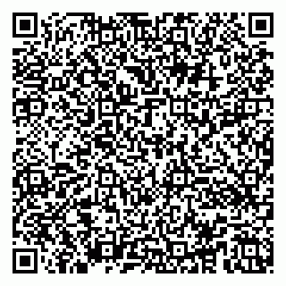 vCard 79100013385