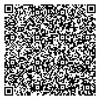 vCard 79100013387