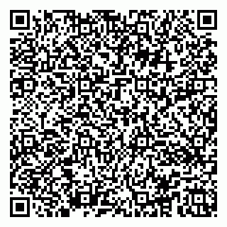 vCard 79100013389