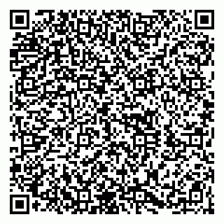 vCard 79100013391