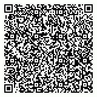 vCard 79100013397