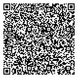 vCard 79100013399