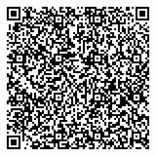 vCard 79100013402
