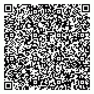 vCard 79100013702