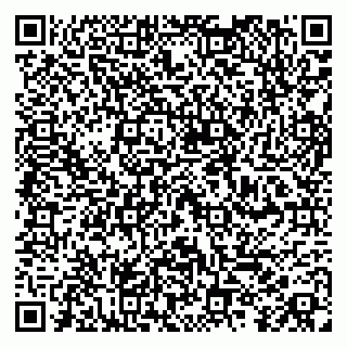 vCard 79100013733