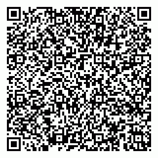 vCard 79100014033