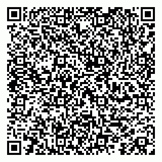 vCard 79100014253