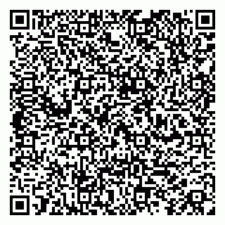 vCard 79100014333