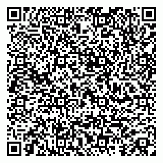 vCard 79100014381