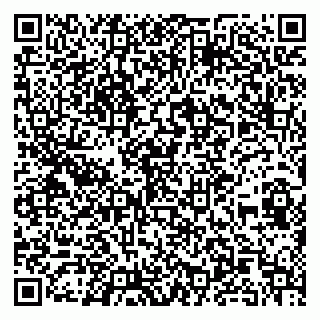 vCard 79100014382