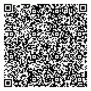 vCard 79100014384