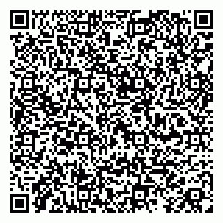 vCard 79100014533