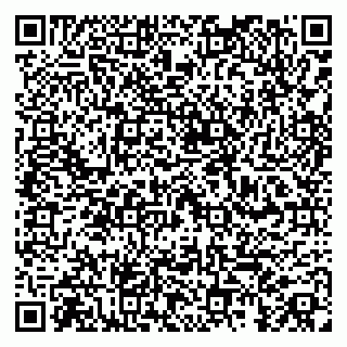 vCard 79100014541