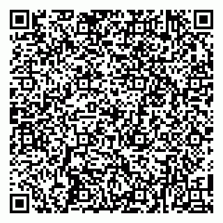 vCard 79100014733