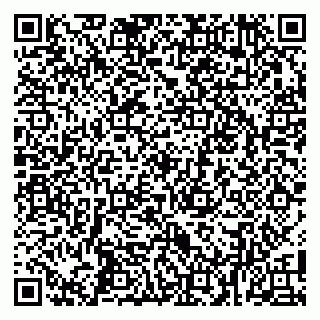 vCard 79100015131