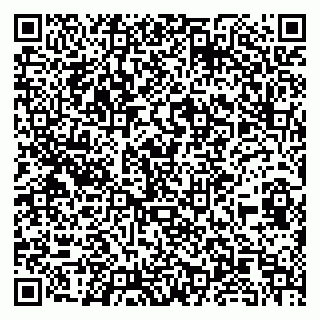 vCard 79100015133