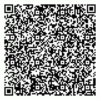 vCard 79100015233