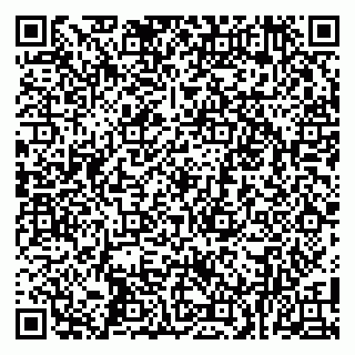 vCard 79100015271