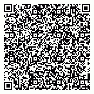 vCard 79100015302