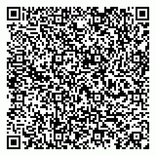 vCard 79100015303