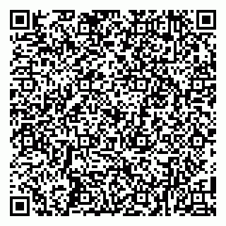 vCard 79100015331