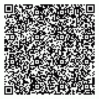 vCard 79100015384