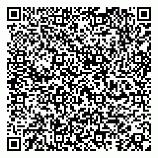 vCard 79100015387
