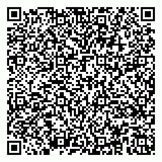 vCard 79100015394