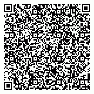 vCard 79100015409