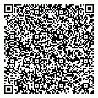 vCard 79100015702