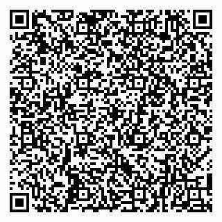 vCard 79100015877