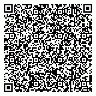 vCard 79100016131