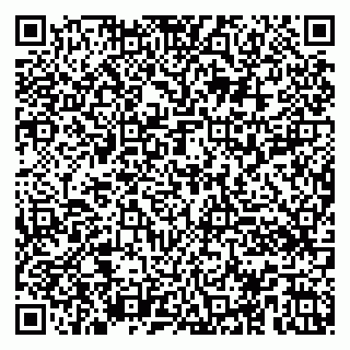 vCard 79100016133