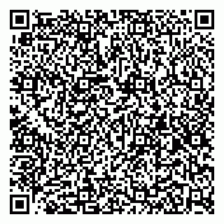 vCard 79100016331