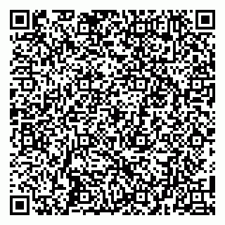 vCard 79100016384