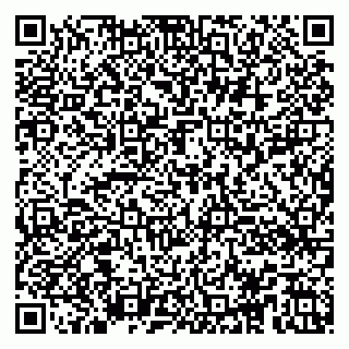 vCard 79100016402