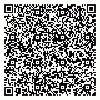 vCard 79100016499