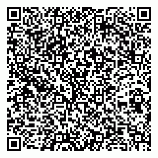 vCard 79100016533