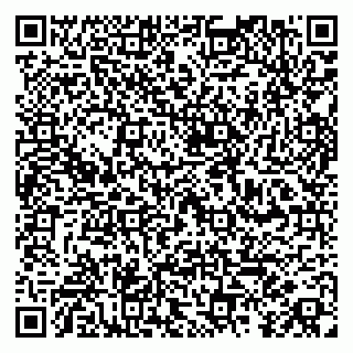 vCard 79100016935