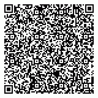 vCard 79100017303