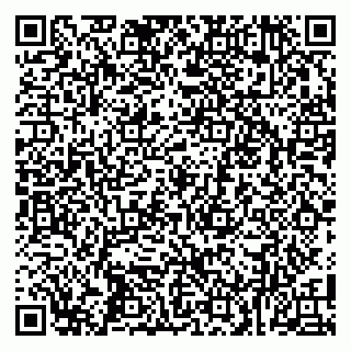 vCard 79100017331