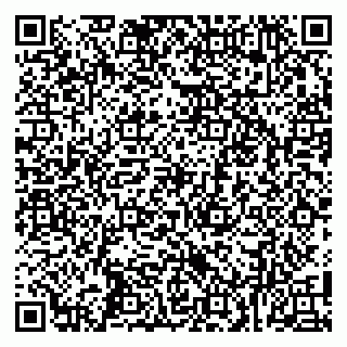 vCard 79100017335