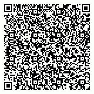 vCard 79100017378
