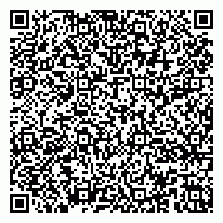 vCard 79100017463