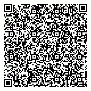 vCard 79100017724