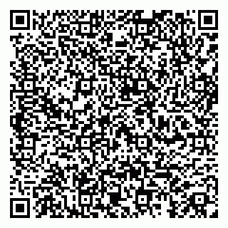 vCard 79100017741