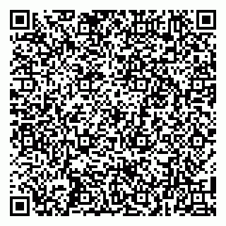 vCard 79100017906