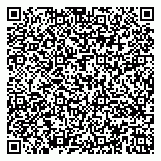 vCard 79100017933